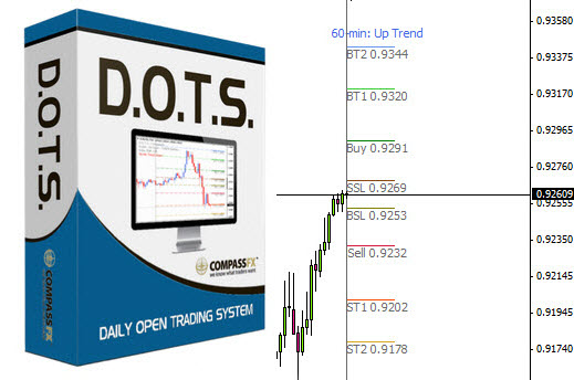 The D.O.T.S. Method