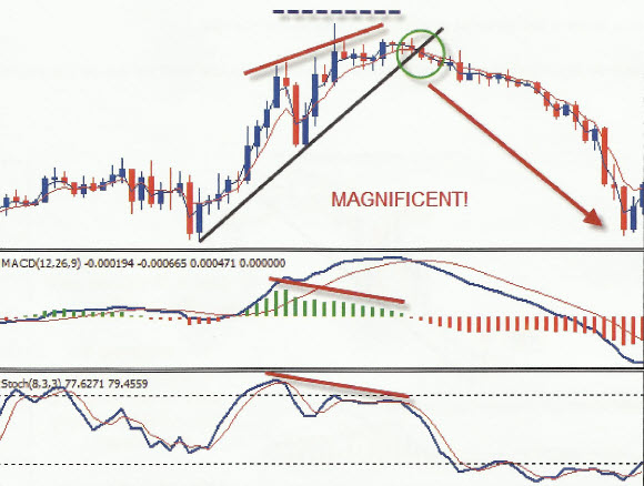 Forex Master Method